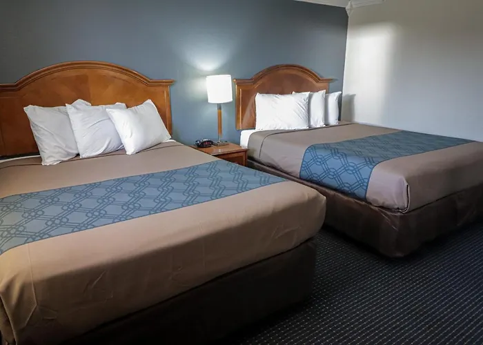 University Inn & Suites